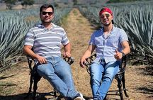 Full Day in Tequila with Tasting and party in Cantaritos