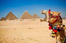 Giza pyramids+Sphinx+The Egyptian Museum