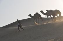 Pleasant Non-Touristic Sun Rise Tours with Breakfast on Dunes 