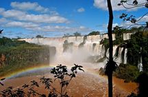 Full Tour to Brazilian Falls + Bird Park !