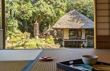 Tea Ceremony in a Japanese painter's Garden in Kyoto