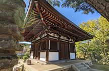 Tea Ceremony in a Japanese painter's Garden in Kyoto