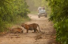05 Days - Private Luxury Golden Triangle Tour with Ranthambore
