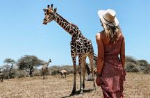 Nature Walk with Giraffes in Mombasa
