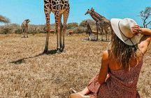 Nature Walk with Giraffes in Mombasa