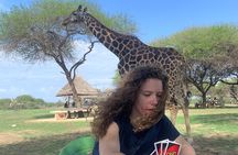 Nature Walk with Giraffes in Mombasa