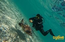 Half-Day Scuba Diving Tour - Discover Scuba Diving!