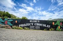 Project Chocolat Tree to Bar Tour at Hotel Chocolat Saint Lucia