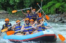 Rafting in Bali: Telaga river - new emotions