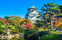 Tour and Food Tour in Osaka with Goverment Guide All incluided