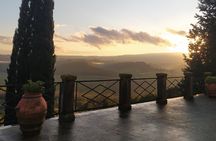 Guided tour with wine tasting and local organic products