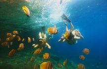 Snorkeling at Blue Lagoon & Tanjung Jepun All Inclusive