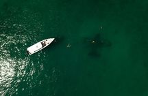 5 Islands tour (Cholon the party island and snorkeling)