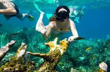 Tour of the Rosario Islands, Cartagena