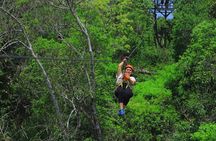 Top Ziplines in Mexico with Cenote, Bungee, snack & transport