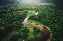 Manu Jungle Tour from Cusco (4 Days)