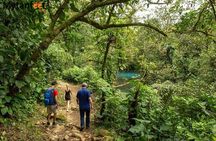 Rio Celeste Waterfall & Sloth Sanctuary/Day Tour from Guanacaste