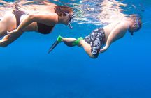 Maui to Lanai Semi-Private Eco Raft Snorkel & Dolphin Tour
