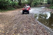 4-Wheel on the road