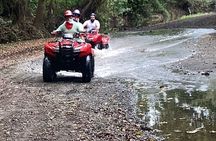 4-Wheel on the road