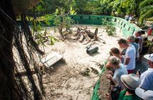 Eco Exploration: Golf Cart Adventure and Catamaran Cruise
