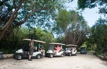 Eco Exploration: Golf Cart Adventure and Catamaran Cruise