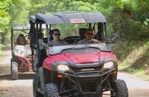 Buggy Tour of Tamarindo