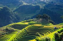 8-Days Hanoi, Sapa Trekking And Halong Bay Cruise