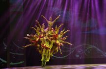 Beijing Evening Acrobat Show In Red Theater With Private Transfer