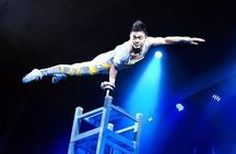 Beijing Evening Acrobat Show In Red Theater With Private Transfer