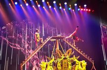 Beijing Evening Acrobat Show In Red Theater With Private Transfer