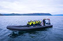 RIB Expedition to Seiland National Park - 3.5h