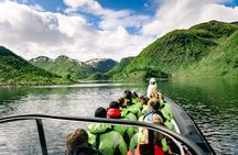 RIB Expedition to Seiland National Park - 3.5h