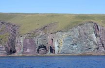 2-hour Guided Mini Eco Tour at Dingle, Ireland
