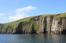 2-hour Guided Mini Eco Tour at Dingle, Ireland
