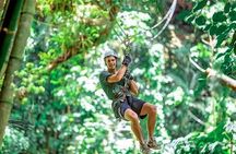 Dunns River Falls, Rafting, Zipline & Horseback from Montego Bay