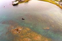 Explore the Wild Beauty of the Basque Coast by Boat