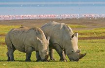 4-Day Guided Tour in Maasai Mara National Reserve Kenya