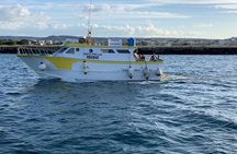 2 hours tour on boat to Polignano a mare