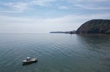 Luxury Costal Rib Tour to Babbacombe Bay from Exmouth Marina