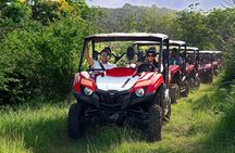 UTV adventure in Naguabo Puerto Rico 50 minutes trip 80 acres 