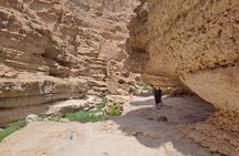 4 hours Guided Wadi Shab Hiking 