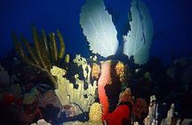 Sunset on the Water + Night Snorkeling with Guide in St. Thomas