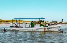 Coloradas Adventure and Cancunito Beach Tour from Merida