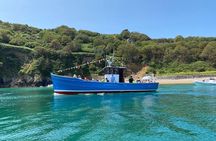 Unrivalled Coastal Tour to Saint's Bay Harbour
