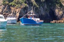 Unrivalled Coastal Tour to Saint's Bay Harbour