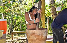 Full-Day La Hacienda Dune Buggy with Zipline & Horseback Activity