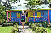 Full-Day La Hacienda Dune Buggy with Zipline & Horseback Activity