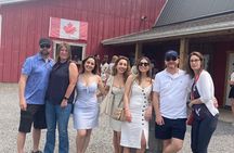 Premium Wine Tour with Cheese & Charcuterie Board