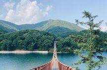 Best DMZ Tour Seoul: Defector Q&A, 3rd Tunnel & Suspension Bridge